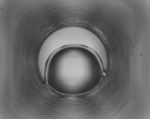 X0000087630121200705181510