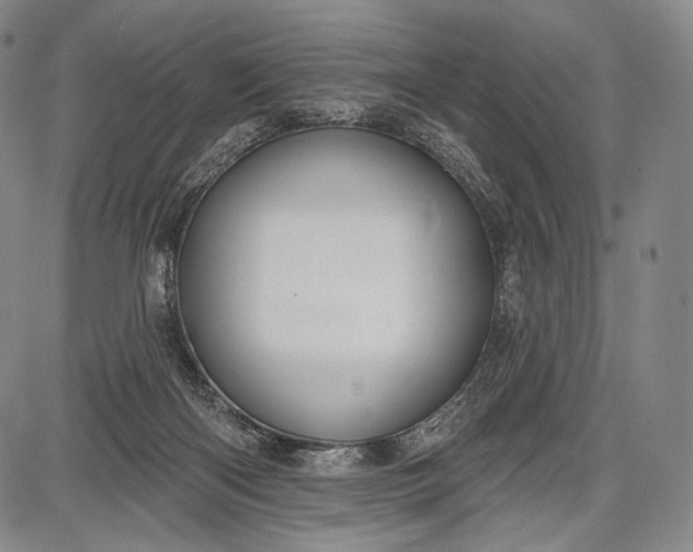 X0000087630122200705181510