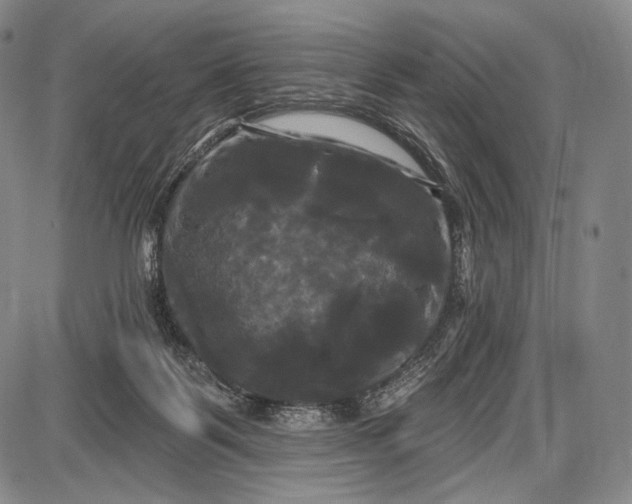 X0000087630123200705181510