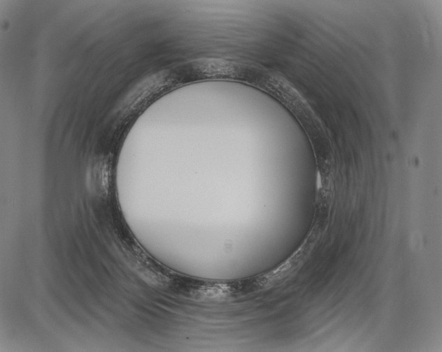 X0000087630124200705181510