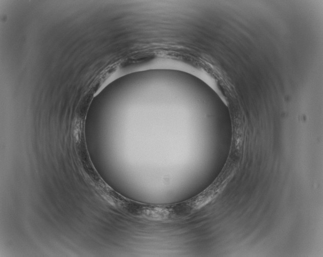 X0000087630125200705181510