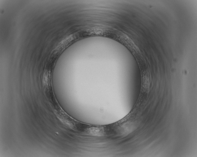 X0000087630126200705181510