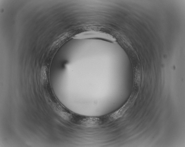 X0000087630128200705181510