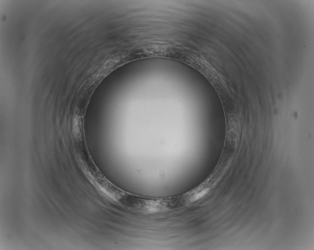 X0000087630130200705181510