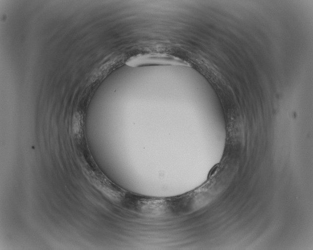 X0000087630132200705181510