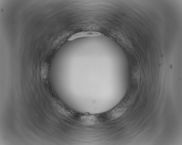 X0000087630133200705181510