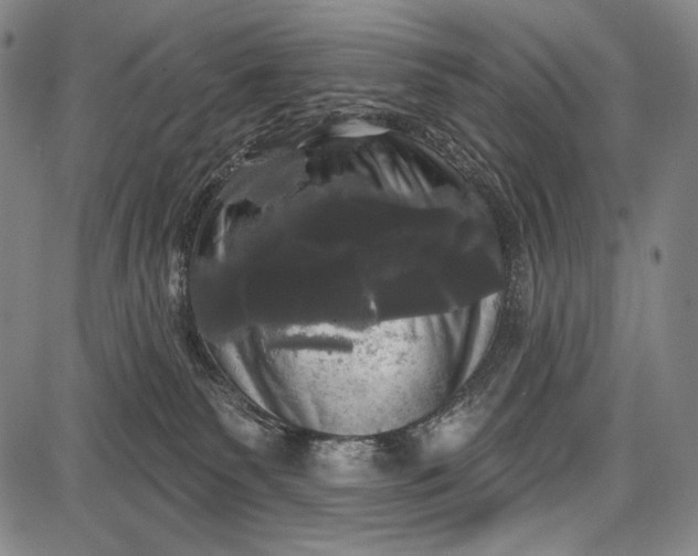 X0000087630135200705181510