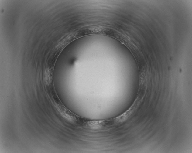 X0000087630136200705181510