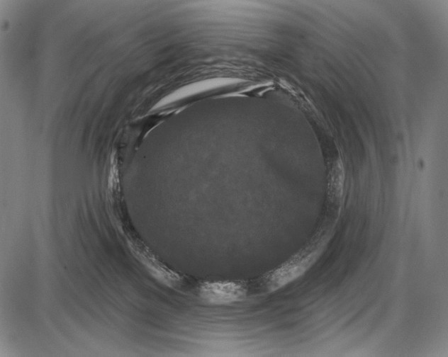 X0000087630137200705181510