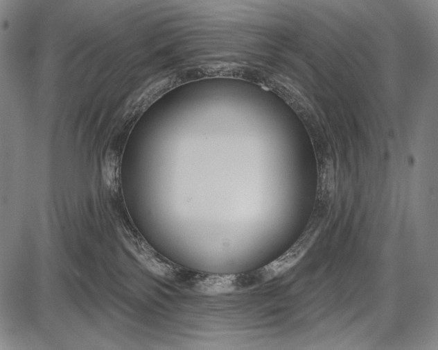 X0000087630138200705181510