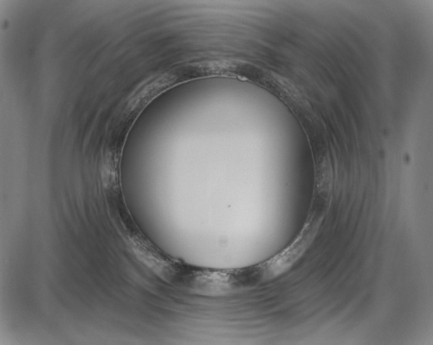 X0000087630140200705181510