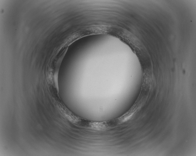 X0000087630141200705181510