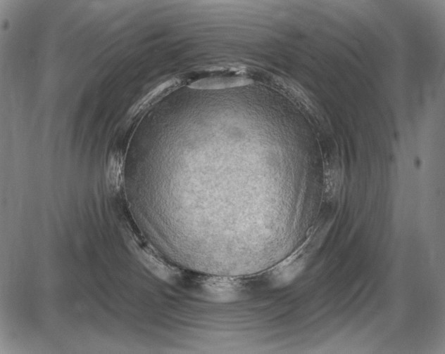 X0000087630142200705181510