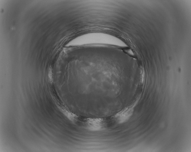 X0000087630143200705181510