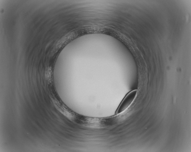 X0000087630144200705181510