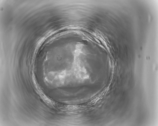 X0000087630145200705181509