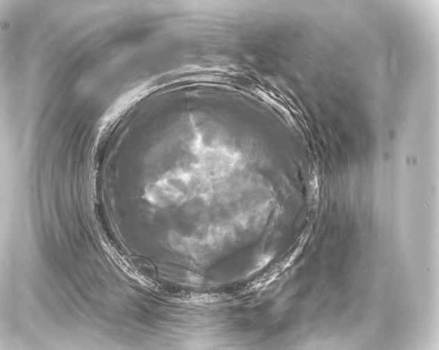 X0000087630149200705181509