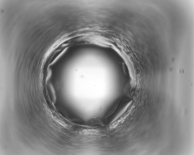 X0000087630150200705181509