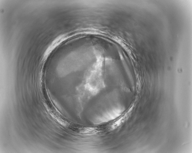 X0000087630151200705181509