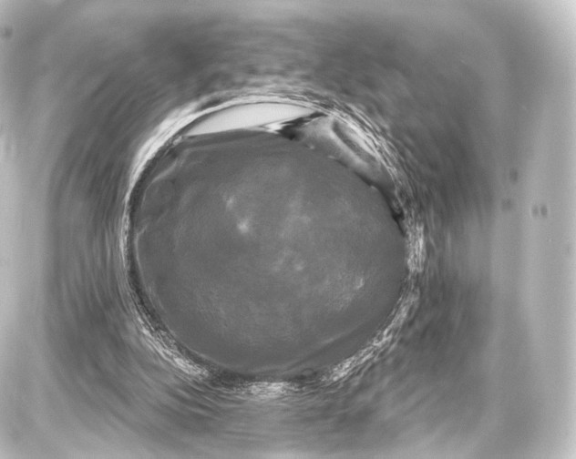 X0000087630152200705181509