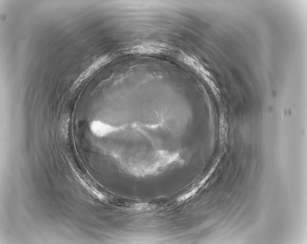 X0000087630153200705181509