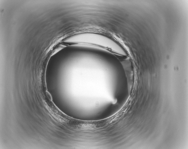 X0000087630154200705181509