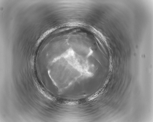 X0000087630155200705181509