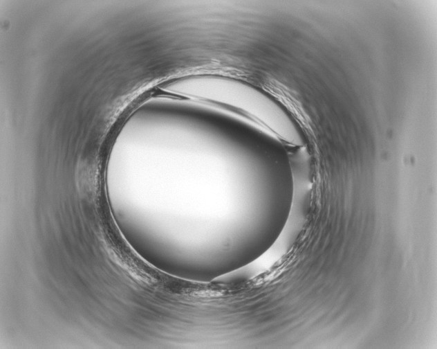 X0000087630156200705181509