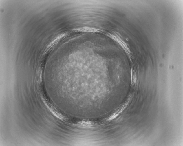 X0000087630157200705181509