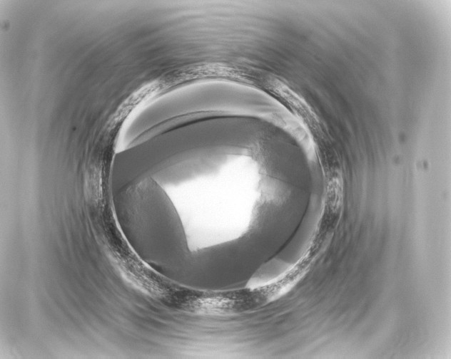 X0000087630158200705181509