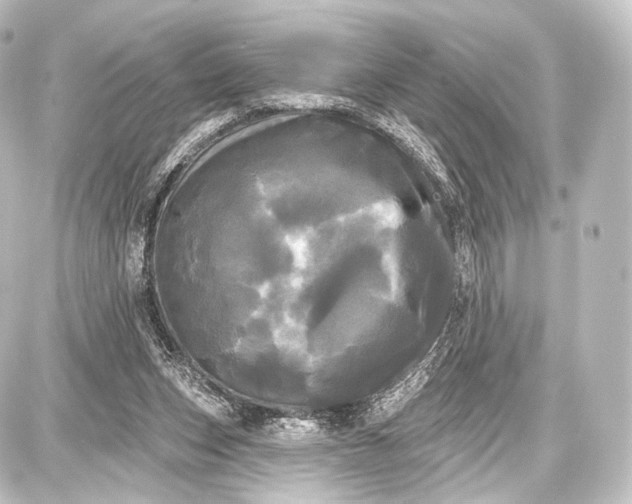 X0000087630159200705181509