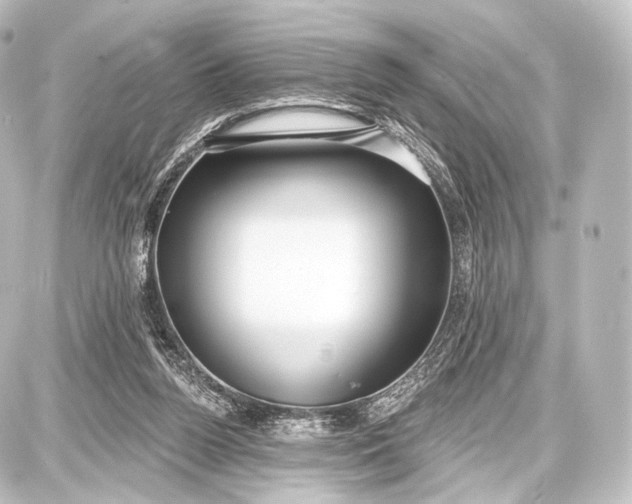 X0000087630160200705181509