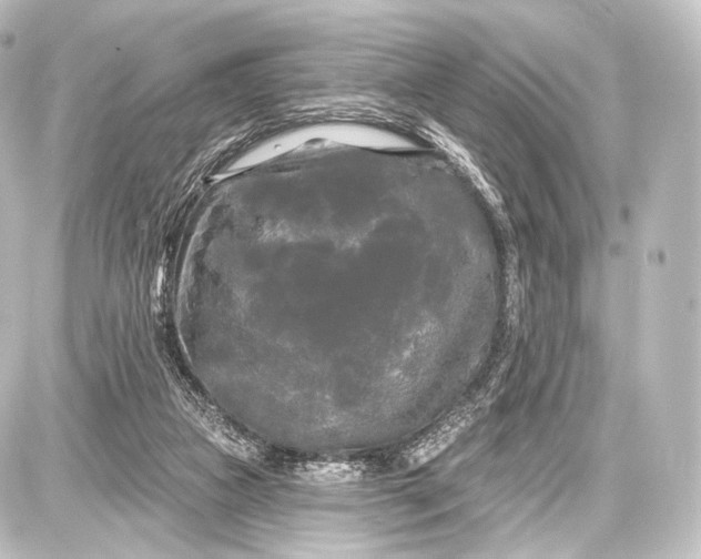 X0000087630161200705181509