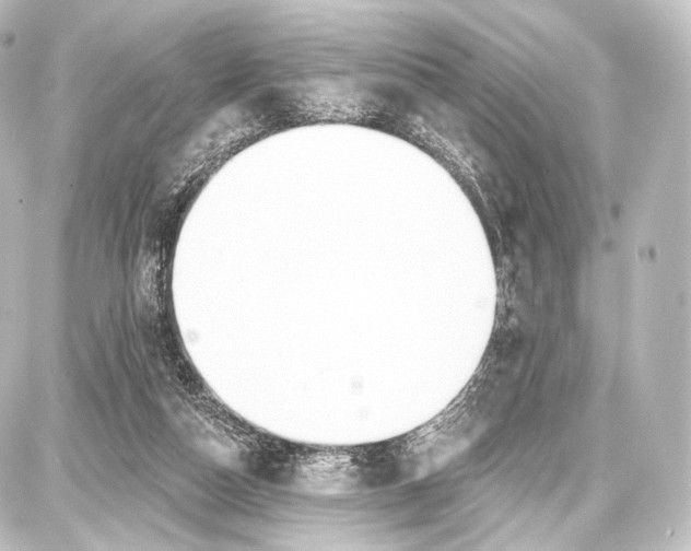 X0000087630162200705181509