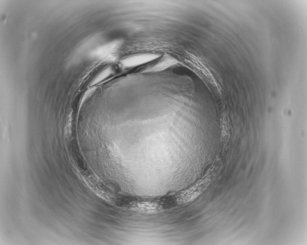 X0000087630163200705181509