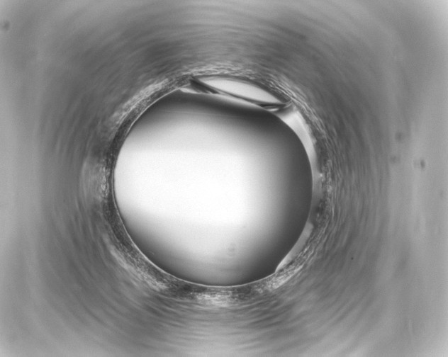 X0000087630164200705181509