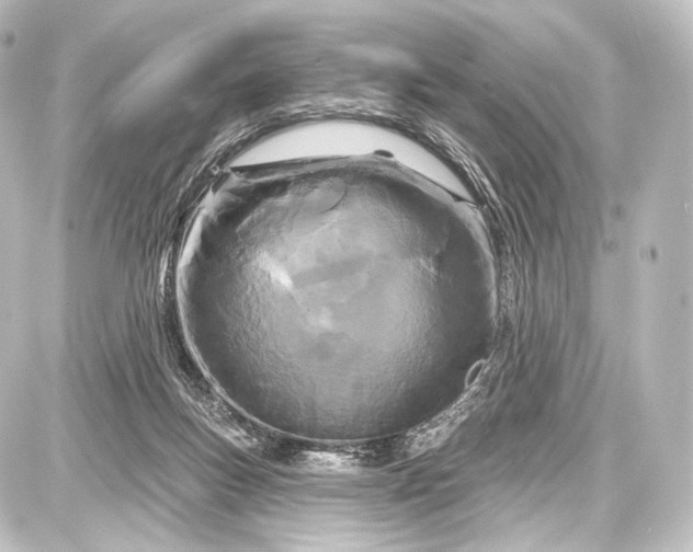 X0000087630167200705181509