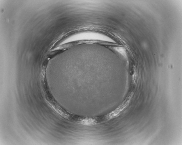 X0000087630168200705181509