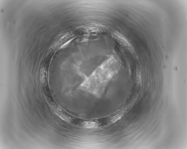 X0000087630169200705181509