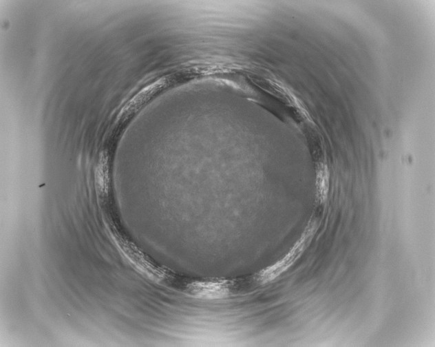 X0000087630170200705181509