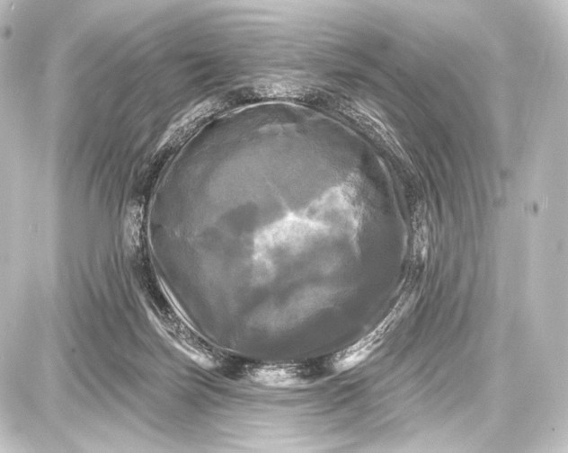 X0000087630171200705181509