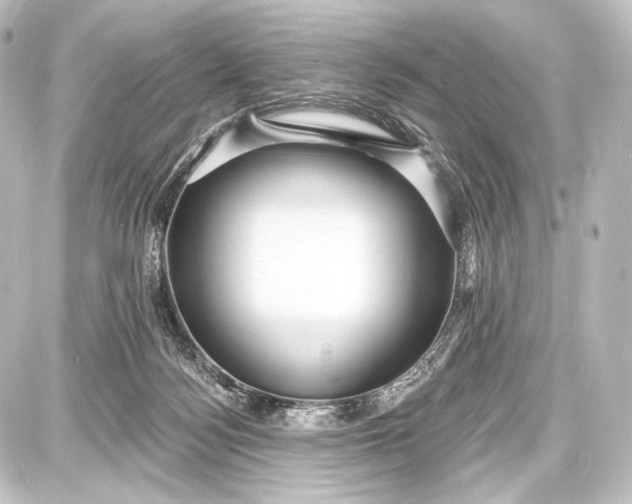 X0000087630172200705181509