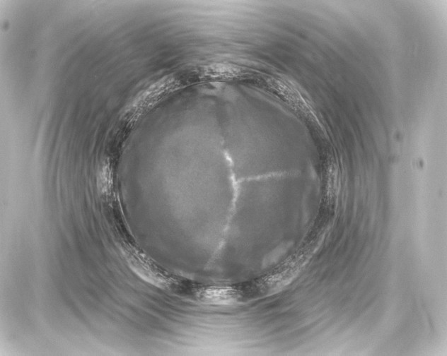 X0000087630173200705181509