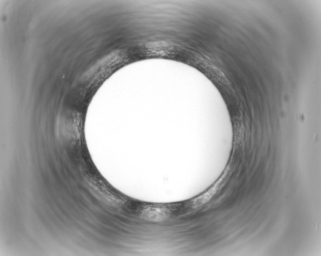 X0000087630174200705181509