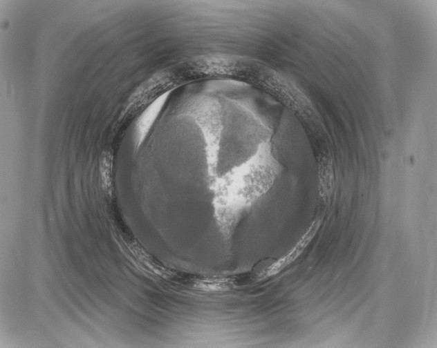 X0000087630175200705181509