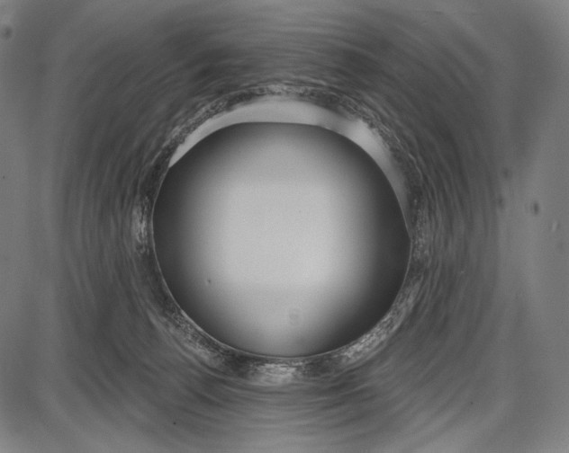 X0000087630176200705181509