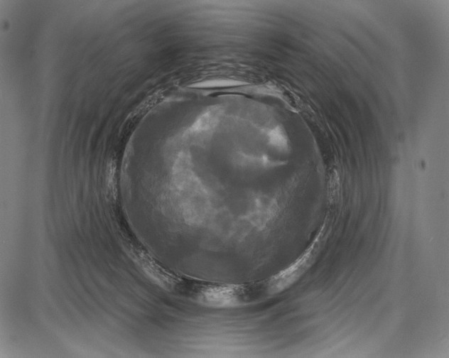 X0000087630178200705181509