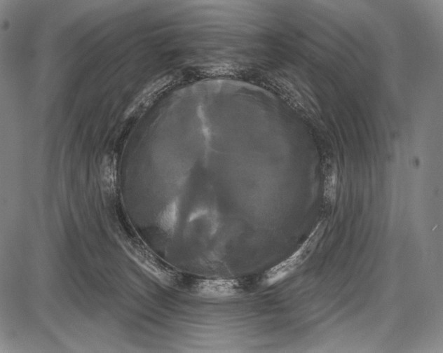 X0000087630179200705181509