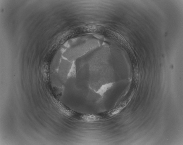 X0000087630181200705181509