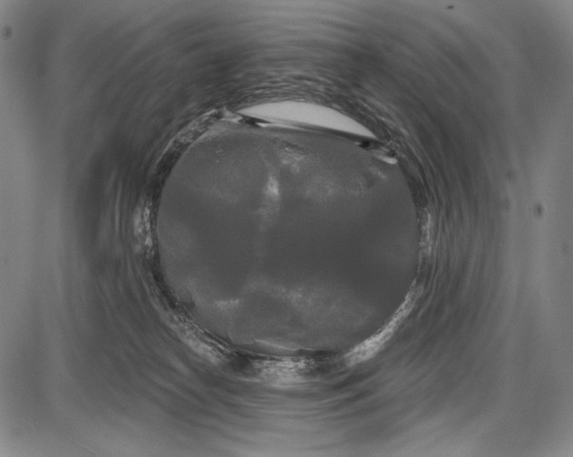 X0000087630182200705181509